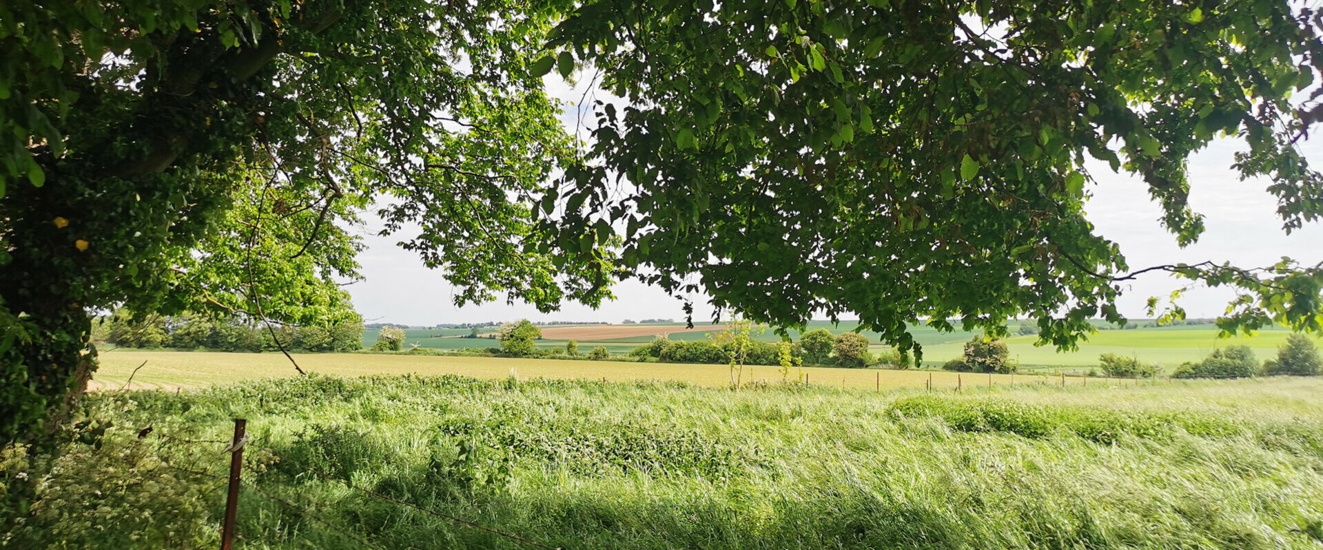 Neuville Vitasse (62 - Nord Pas de Calais)