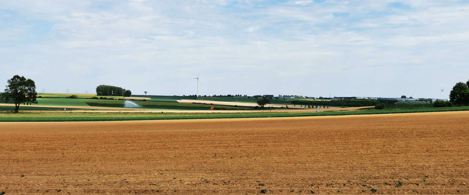 Neuville Vitasse (62 - Nord Pas de Calais)